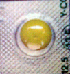 コントミン12.5mg