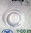 コントミン25mg