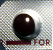 フォルセニッド12mg