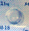メイラックス1mg